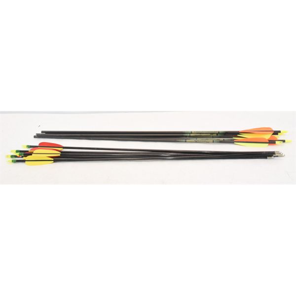 12 Mixed Arrows