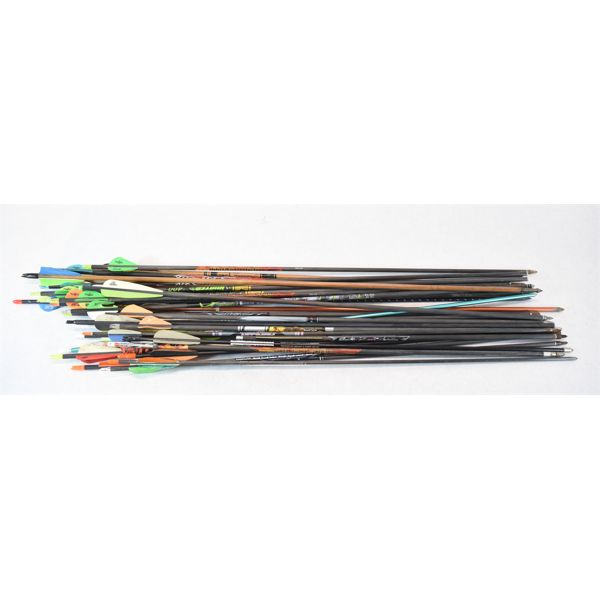 33 Assorted Arrows