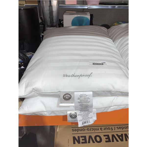 Weatherproof Lot of 2 20" x 28" Pillows