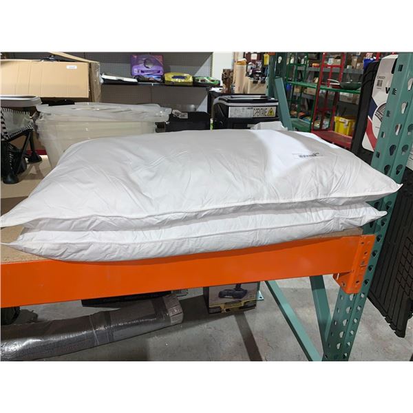 JA Comforts Lot of 2 20" x 36" Pillows