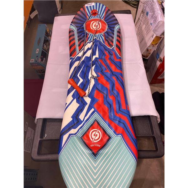 Snow Storm Snow Board Style Sled