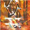 Image 2 : Victor Spahn "Show Jumping" Limited Edition Lithograph on Paper