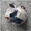 Image 1 : LOT OF SIZE XXLARGE WOMENS UNDERWEAR 14 PIECES AND 16 BRAS SIZE 44-46