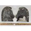 Image 1 : PAIR OF HORSE HEAD WALL HANGINGS