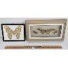 Image 1 : LOT OF 2 - FRAMED MOTH & BUTTERFLIES - INCL ATTACUS ATLAS MOTH