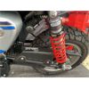 Image 8 : 2022 Honda Monkey FSZ-125