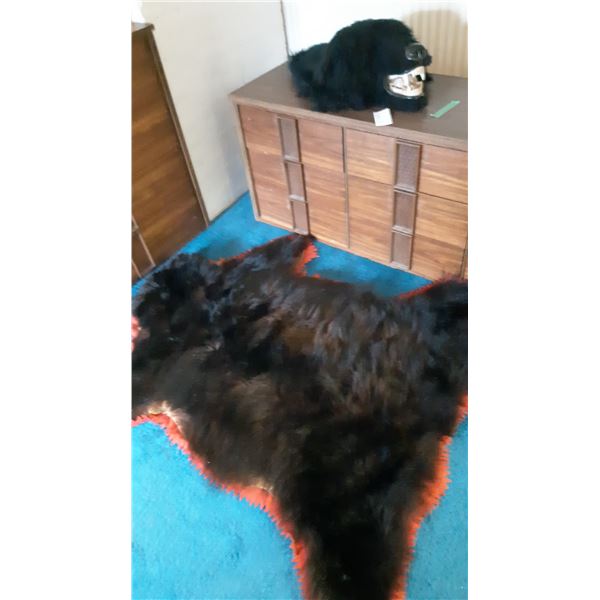 Bear Skin Rug Cat B