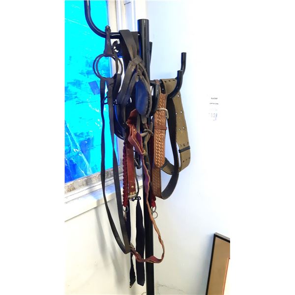 Horse Blinders Cat A