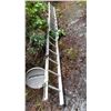 Image 1 : 20' Ladder Cat C