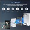 Image 3 : Lot of 1 Levoit Personal HEPA Air Purifier - BRAND NEW!