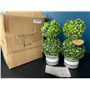 Image 2 : Lot of 1 Barnyard Designs Set of 2 Mini 12.5" Topiary "Realistic" Potted Plant Decorations