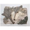 Image 1 : WOLF WALL HANGING