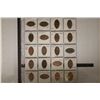 Image 1 : 20 ELONGATED US 1 CENT COINS: L.A. ZOO, BENGAL