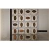 Image 2 : 20 ELONGATED US 1 CENT COINS: L.A. ZOO, BENGAL