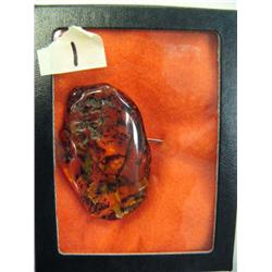 2-1/2" chunk of amber- made into amber pendant with prehistoric insects (3)