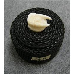 3" Baleen Basket by Lily Hank with Walrus Head top 429F (2)