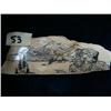 Image 1 : Scrimshawed ivory 4" by Frances Mosan with bear and mountains (3)