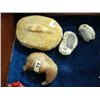 Image 1 : Lot of 3 fossils and 1 whale ear drum (3)