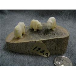 CHOICE of 3 Ivory Musk ox by Robert Kokoluk (2)