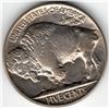 Image 2 : 1936-D Buffalo Nickel