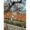 Image 5 : wind chimes