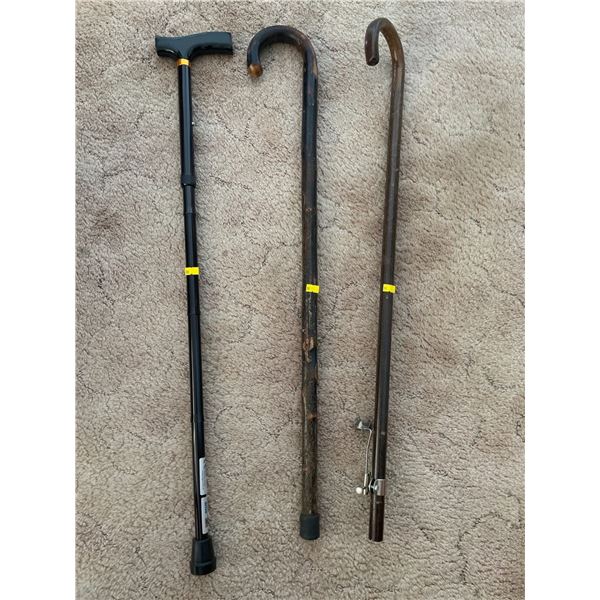 Assorted Collection Of Canes - 3 In Total