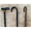 Image 3 : Assorted Collection Of Canes - 3 In Total