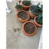 Image 2 : Decorative Flower Pots Artificial Plants & Christmas Wreath