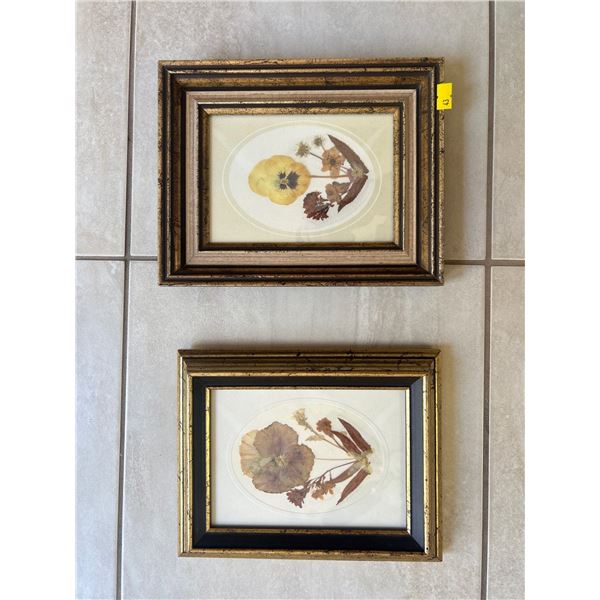 Dried Floral Art 8 x 10