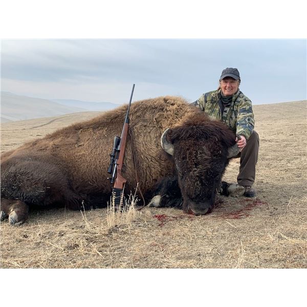 California Buffalo Hunt