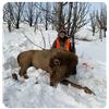 Image 2 : Utah DIY Cow Elk Hunt
