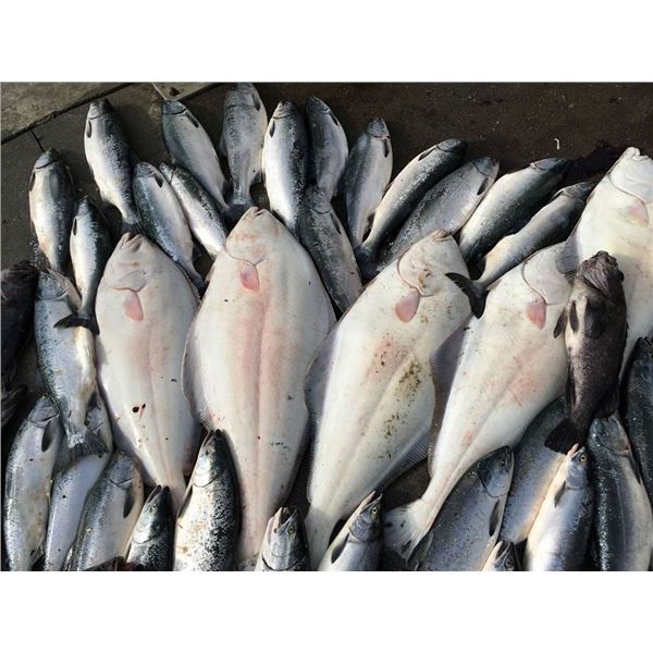 Kodiak Island Fishing Package for 2