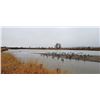Image 5 : Nebraska Waterfowl / Upland Bird Combo Hunt for 2 hunters