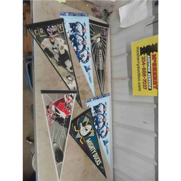 Assorted Sports Pennant Collection