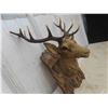 Image 8 : Wildlife Décor, Wooden Mallards, Stag