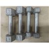 Image 4 : 8 Dumbbells ; 4 Neoprene ; (2) 10lb + (2) 8lb & 4 Steel : (2) 5lb + (2) 3lb
