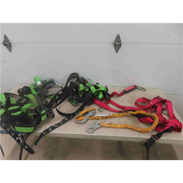 Variety of Safety Harness