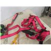 Image 2 : Variety of Safety Harness