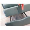 Image 9 : Padded Armchair w/ Pull Out Bed (Recliner broken)