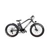 Image 1 : CRUISER FAT TIRE ELECTRIC BIKE WITH BATTERY CJHARGER AND ACCESSORIES