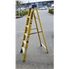 Image 1 : EAGLE FIBERGLASS 5 FT A-FRAME LADDER