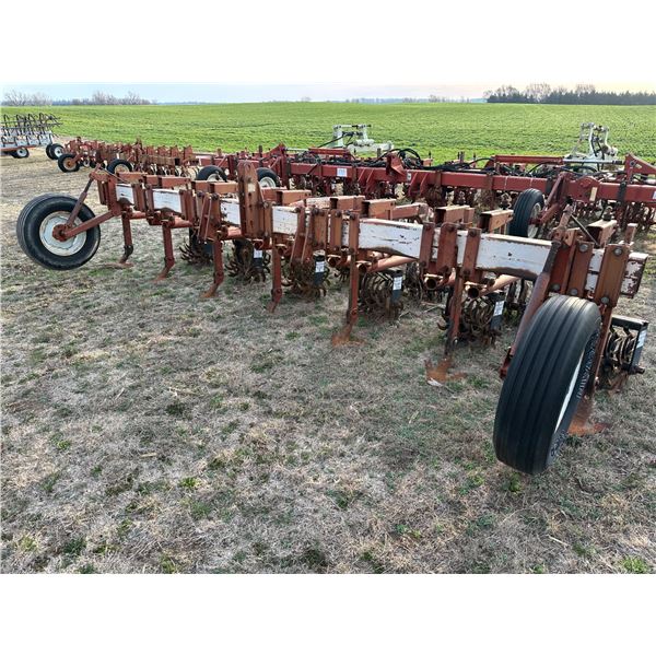 Lilliston Cultivator, 3pt, 6-row