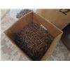 Image 3 : 100lbs of 2.5" Finishing Nails