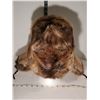 Image 3 : Vintage beaver trapper hat.