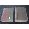 Image 1 : 1800 & 1900's books - Strange Harvest - Short stories