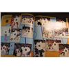 Image 2 : 1989 NHL Panini hockey sticker album no stickers mint condition