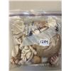 Image 3 : 2 bags of seashells