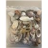 Image 4 : 2 bags of seashells