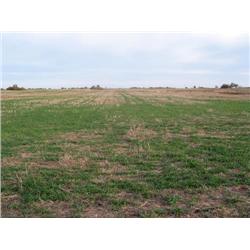 The NW/4 of Sec. 30, Twp. 22N, R.4 W.I.M., Garfield County, Oklahoma