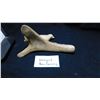 Image 4 : UNSIGNED CARIBOU ANTLER CARVING